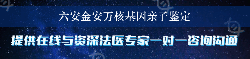 六安金安万核基因亲子鉴定